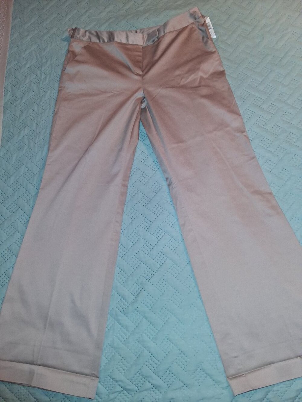 NEW! Taupe Dress Pants-Wider Leg-size 12